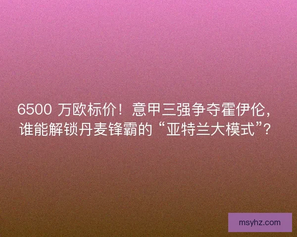 6500 万欧标价！意甲三强争夺霍伊伦，谁能解锁丹麦锋霸的 “亚特兰大模式”？